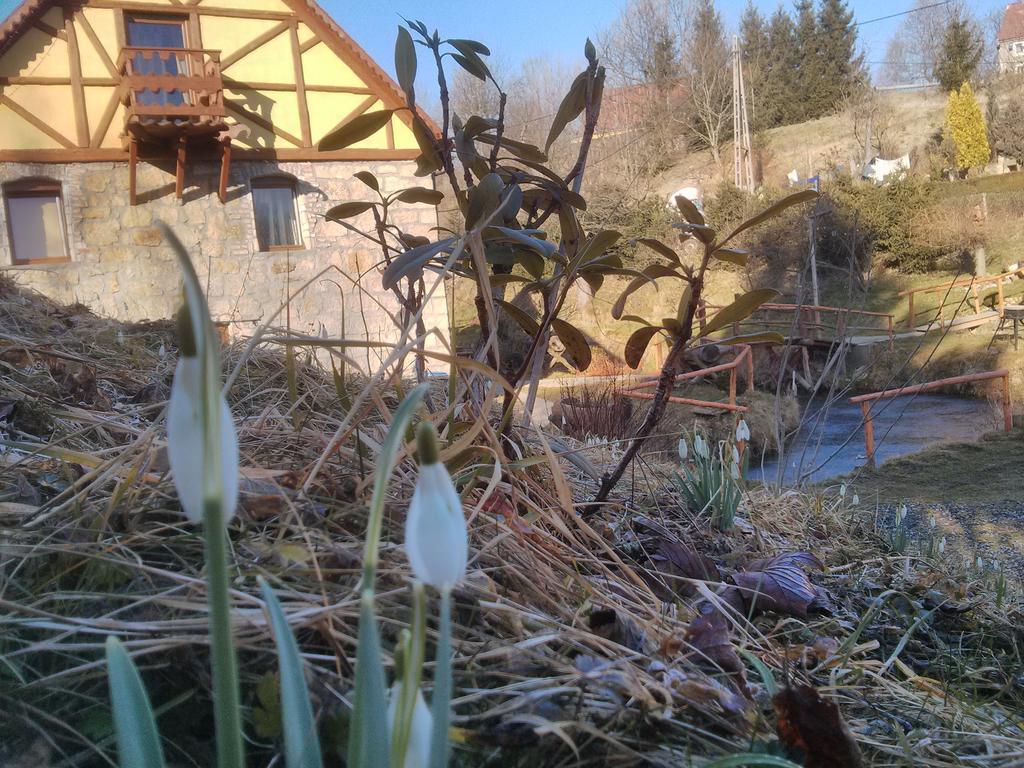 Zbojna Debra Bed & Breakfast Golejow Ruang foto